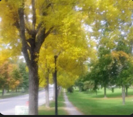 Building Photo - 163 Broadway