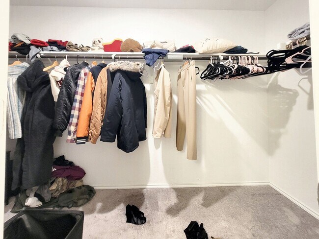 Building Photo - 517 Sour Cherry Ln