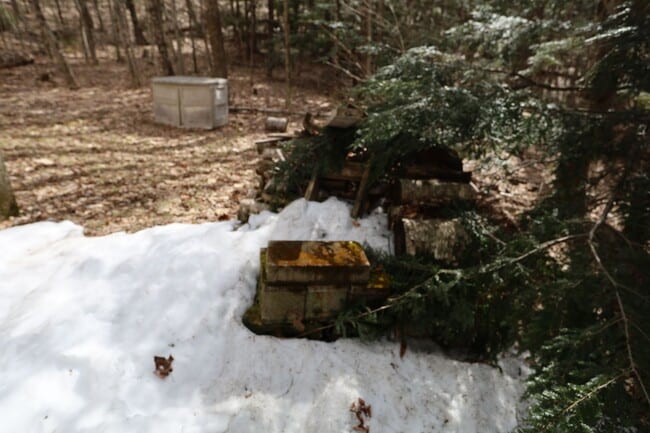 Building Photo - Seasonal 6 Month Lease Available | $1,700.00/ month home in Campton, NH!