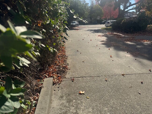 Building Photo - 191 Merlot Ct