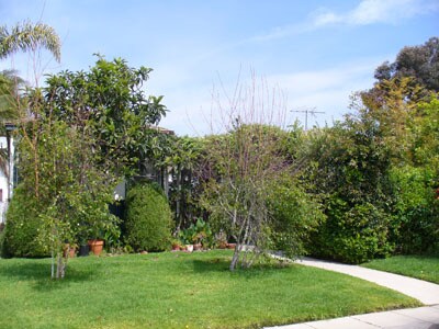 Building Photo - 10581 Ayres Ave