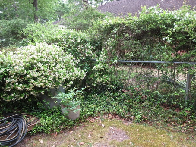 Building Photo - 631 Nelson Point Rd