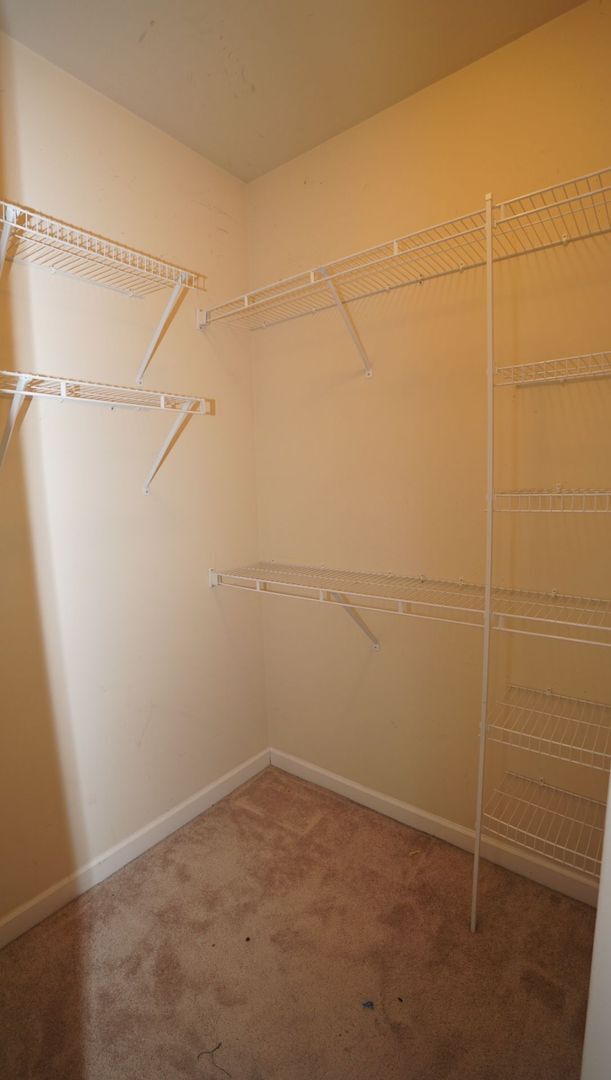 Building Photo - 147 Moonstone Ct