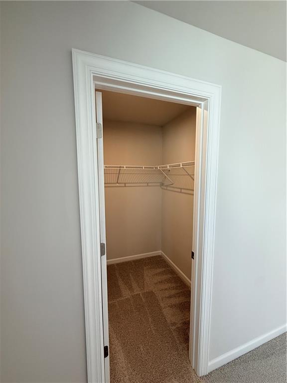 Building Photo - 146 Willowfern Ln