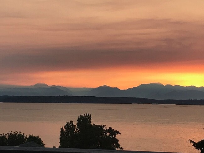 Building Photo - Stunning Sound & Olympic Mountain View Home in North Admiral