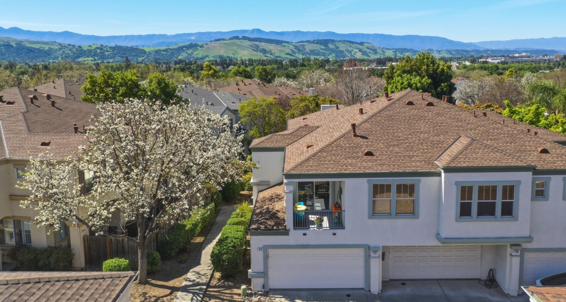 Building Photo - 914 Brea Ln