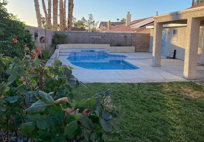 backyard - 730 Altacrest Dr