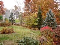 Building Photo - 43 Juniper St