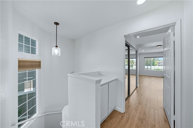 Building Photo - 2285 Boxwood Pl