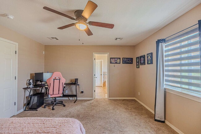 Building Photo - 3240 Peruvian Paso