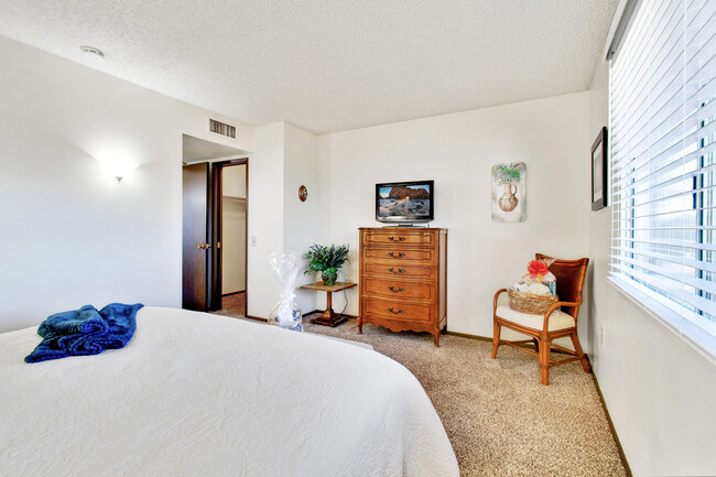 Master bedroom flat screen TV and full size dresser. - 12414 W Nugget Ct