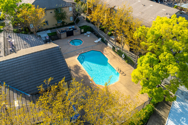 Swimming Pool - Vintage Glen