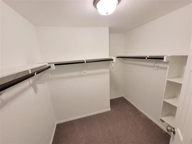 Building Photo - 812 Forestdale Ct
