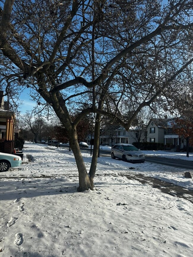 Building Photo - 1007 Lake Ave