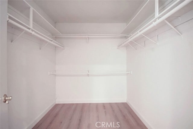 Building Photo - 24902 Altamira Dr