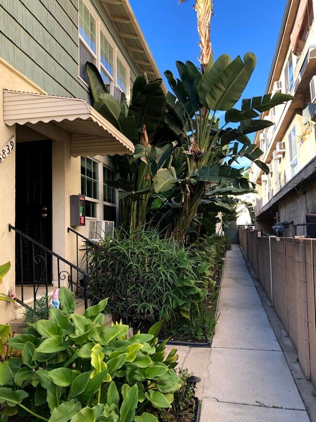 Building Photo - 1 Bed + 1 Bath Second Floor Unit!