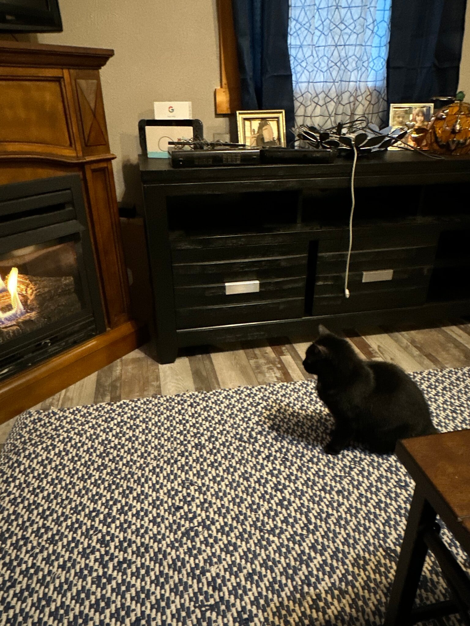 Building Photo - 607 N Tionesta Ave