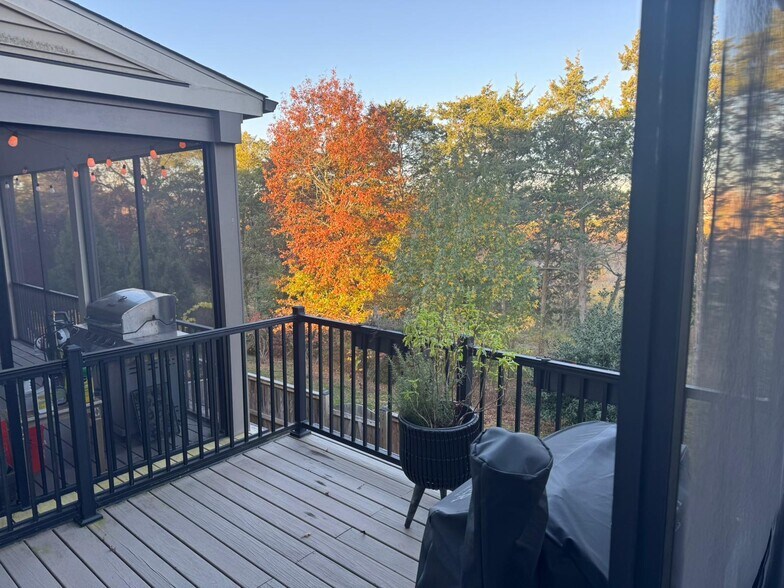 Main Level open Deck - 23659 Turtle Point Ter