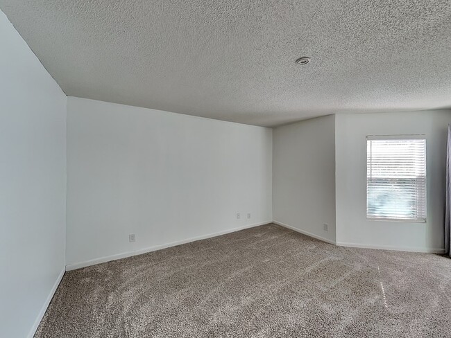 Building Photo - 2622 Lemon Tree Ln