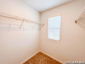 Building Photo - 14507 Gecko Lndg
