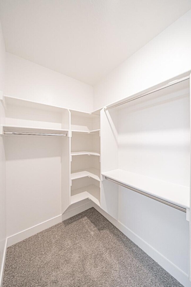 Building Photo - 2896 Blackwood