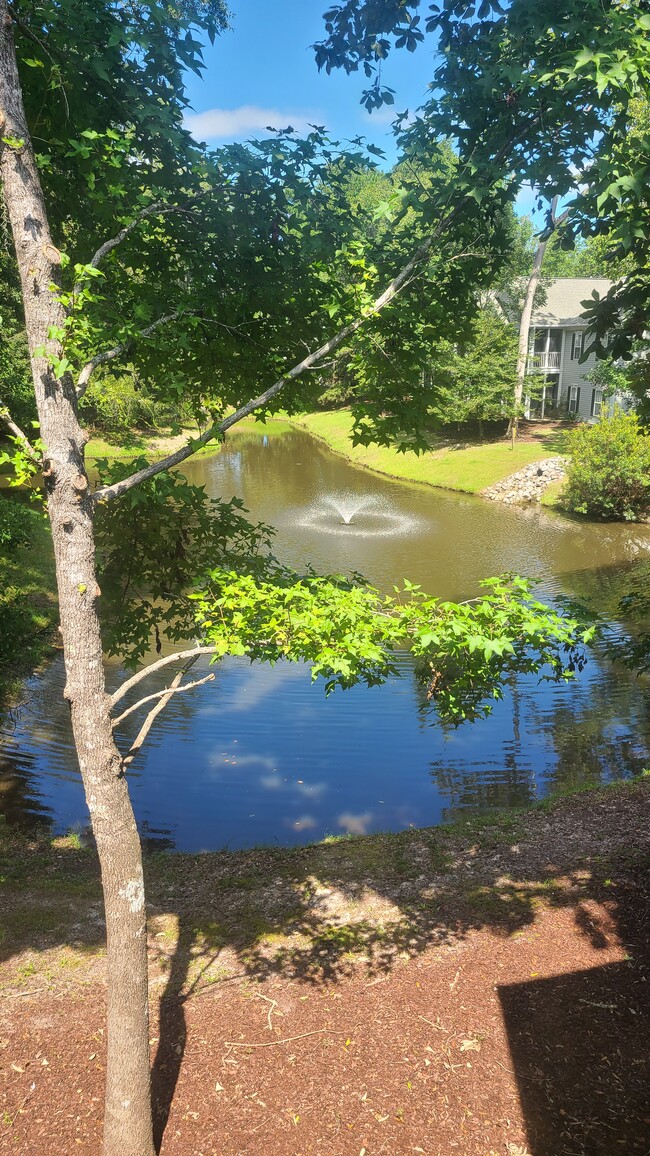 Building Photo - 1007 W Marymont Ln