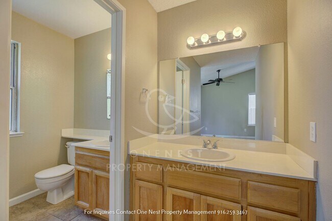 Building Photo - Location! Location! Location!