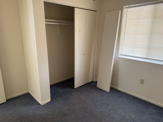 Building Photo - San Luis 3 Bedroom home with Fenced Lot