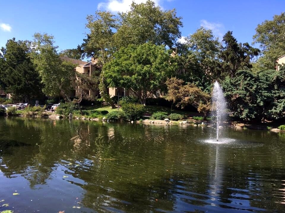 Lake and fountain surrounded by mature trees and landscaped grounds - 8305 Summertime Ln