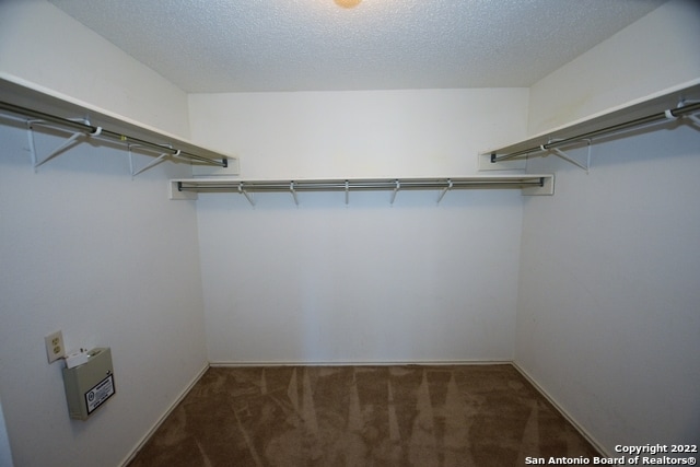 Building Photo - 4854 Limestone Well Dr