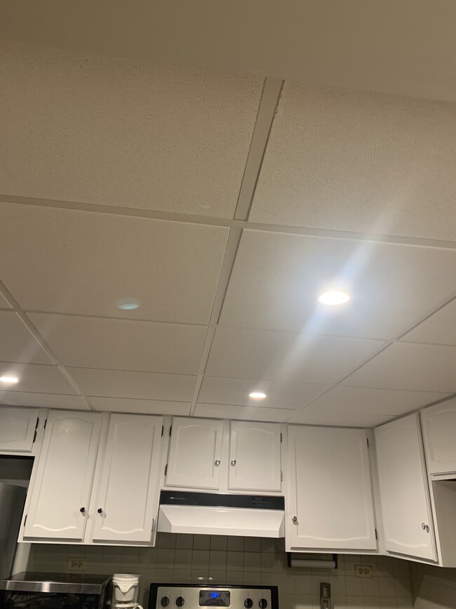 Suspended ceiling/recessed lighting - 475 Plum Creek Dr