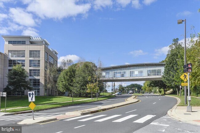 Building Photo - 10500 ROCKVILLE PIK