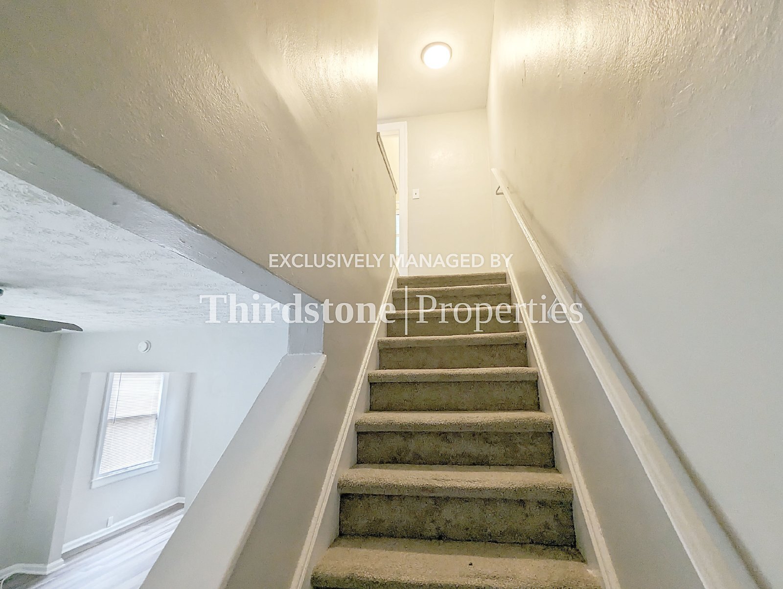 Building Photo - 2858 Olga Pl