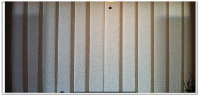 Hunter Douglas Blackout Blinds - 1011 Arlington Blvd