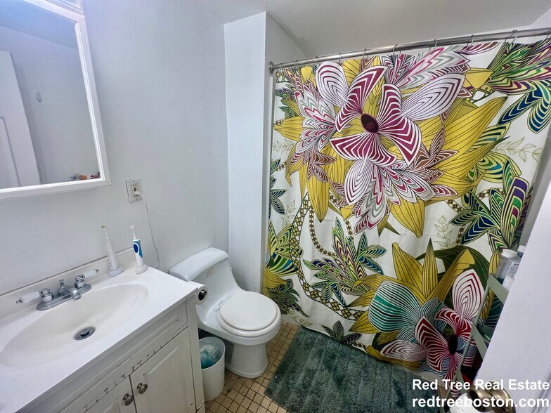 Building Photo - 62 Egmont St