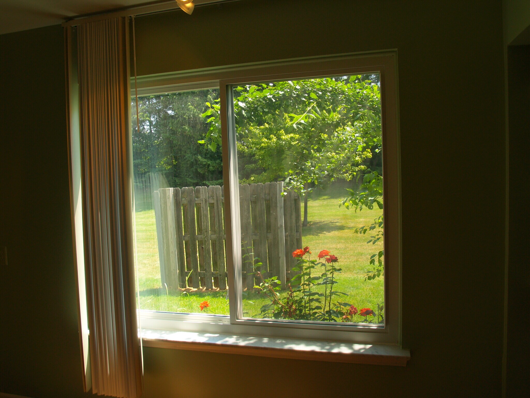 Kitchen window - 3234 Bolgos Cir