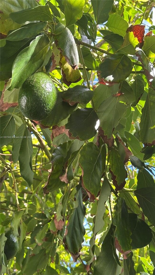 Building Photo - 421 75th St