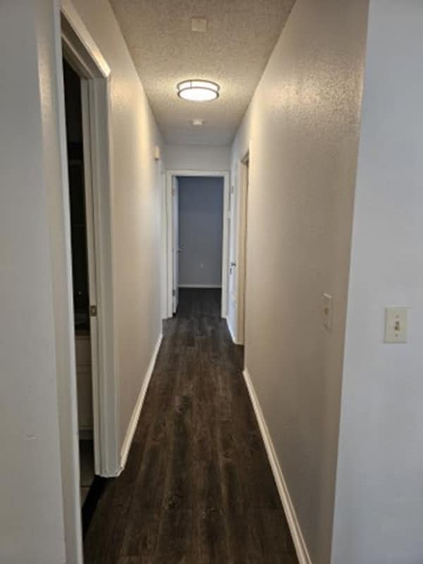 Building Photo - 4735 El Vedado St