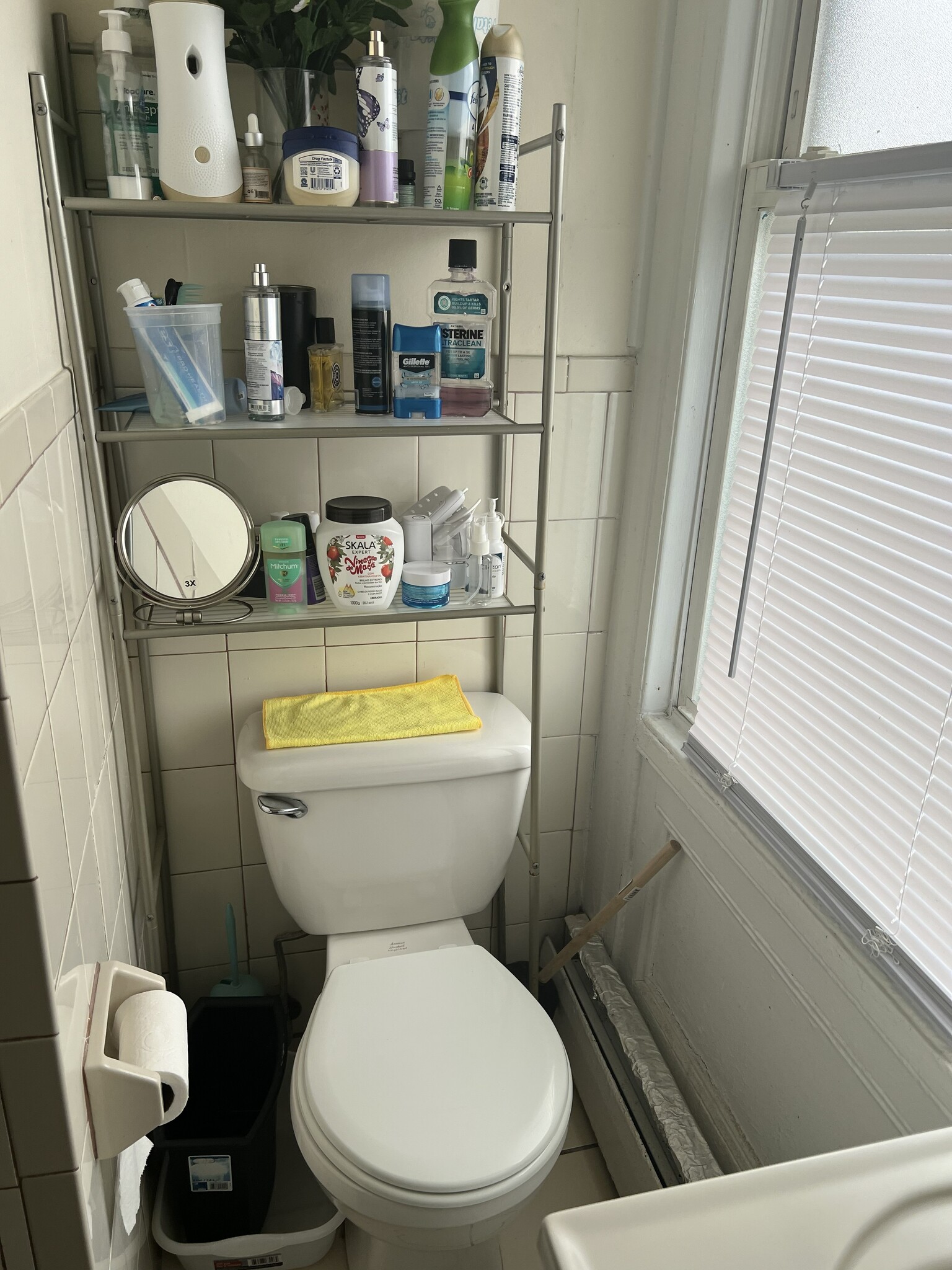 Building Photo - 52 Marlborough Ave