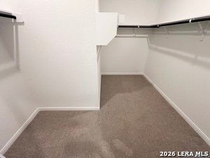 Building Photo - 6614 Cibolo Springs