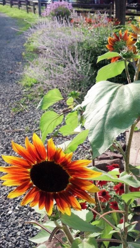 Building Photo - 1310 Hollow Rd