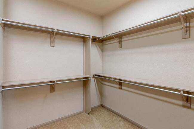 Building Photo - 27 S Mews Wood Ct