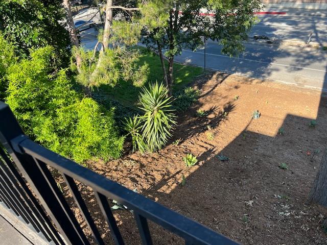 Water-friendly, native flora in back yard - 2812 Anchor Ave