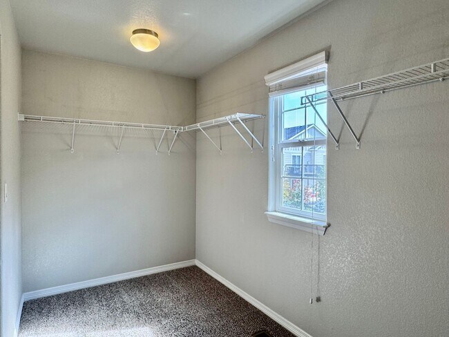 Building Photo - Beautifully Maintained Woodmoor Home Featu...