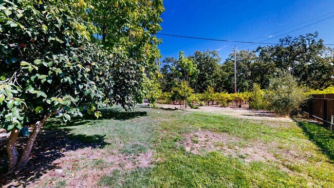 Building Photo - Country Charm Meets Vineyard Views! Two Bedroom Two bath with room to relax!