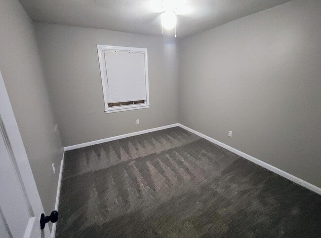 Building Photo - 4959 Shayne Ln