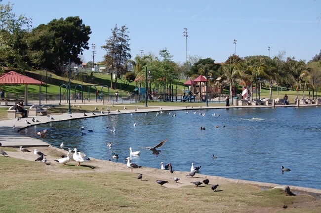 Building Photo - Remodeled 1 bedroom apartment with Beautiful Views of Downtown LA and Surrounding Mountains