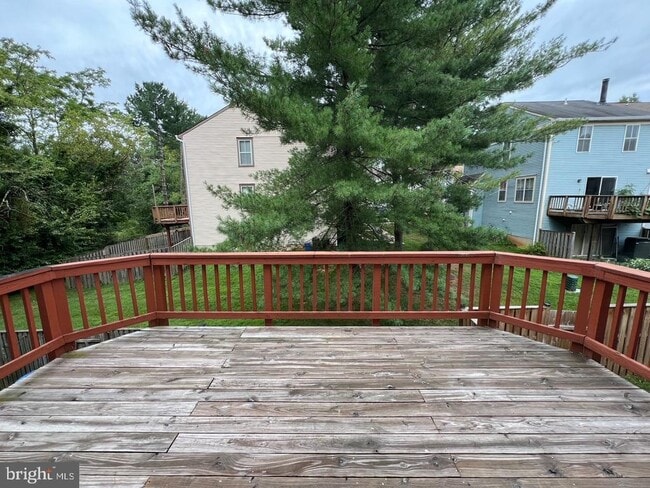 Building Photo - 18002 Sunset Lake Ct