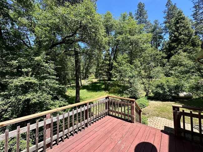 Building Photo - 4 Bedroom 2.5 Bathroom Home on 2 Acres Clo...