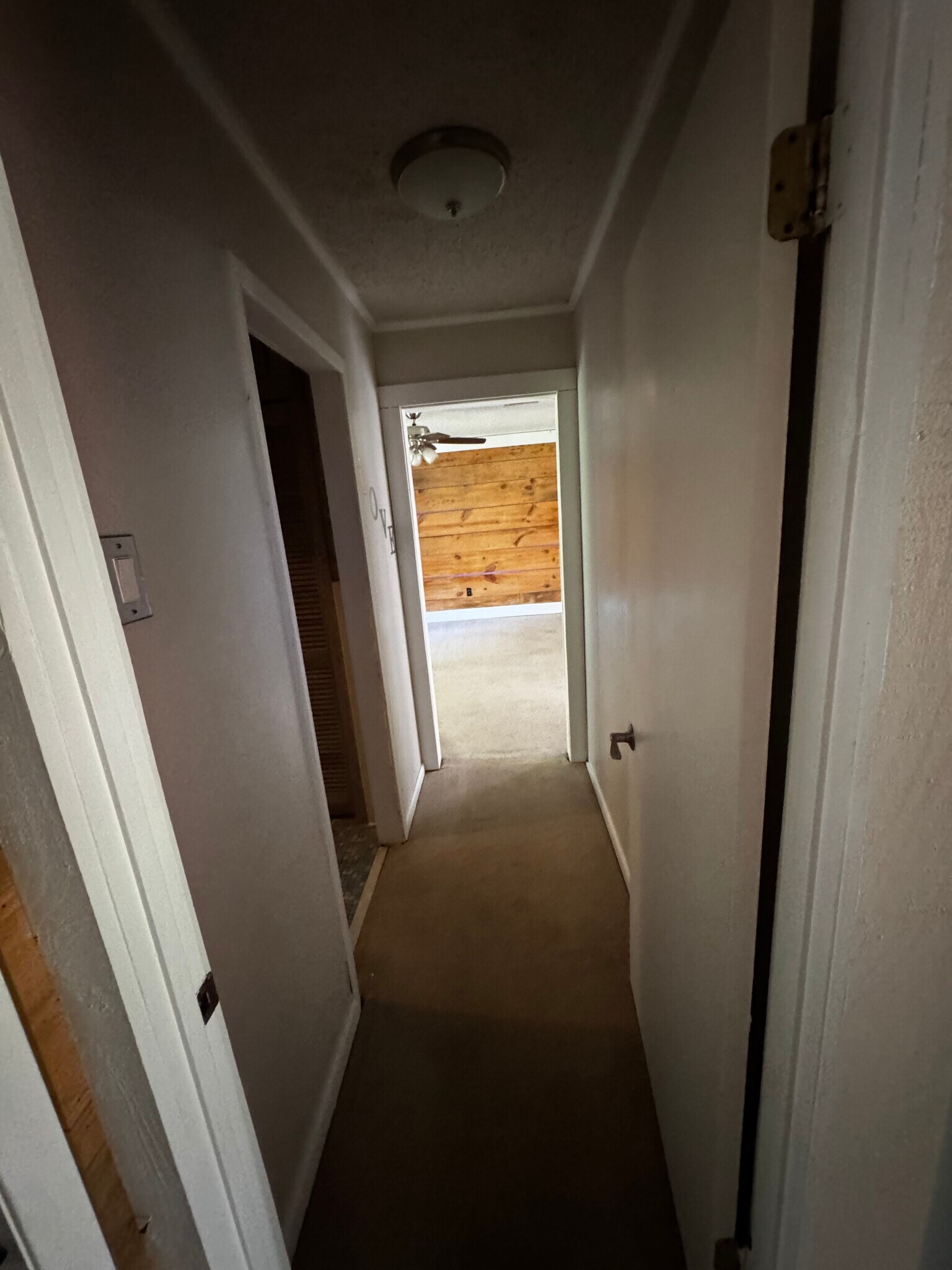 Building Photo - 117 Steed Rd